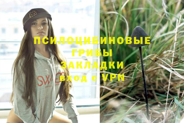 мяу мяу мука Алзамай