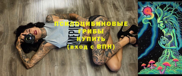 молекула духа Алексин